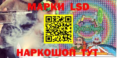 стаф Будённовск