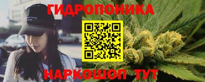 стаф Будённовск