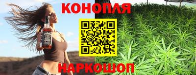стаф Будённовск