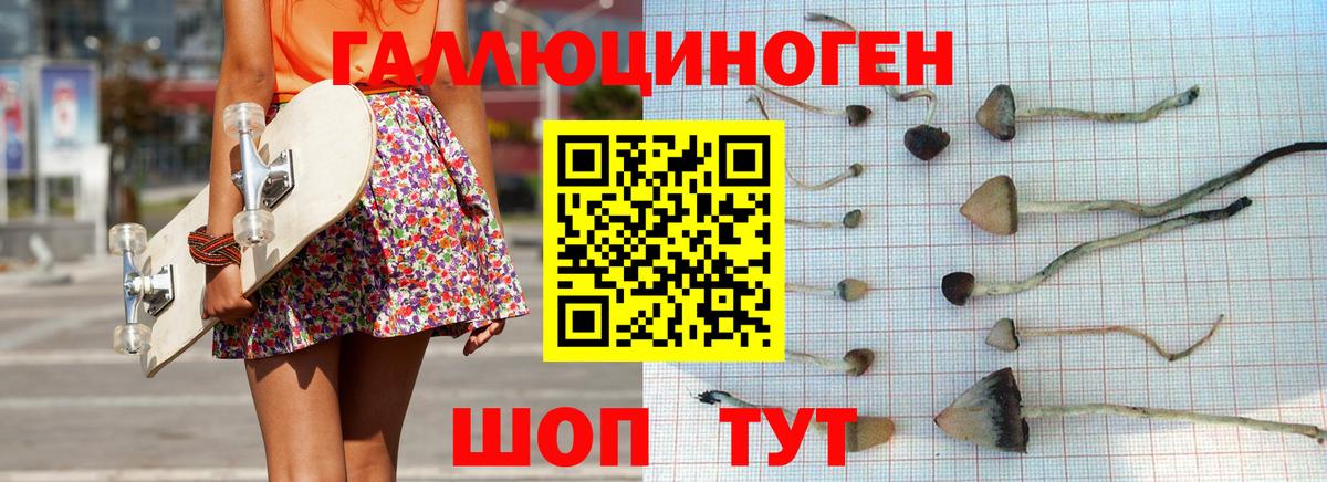Галлюциногенные грибы Cubensis  Вход с VPN  Печора 